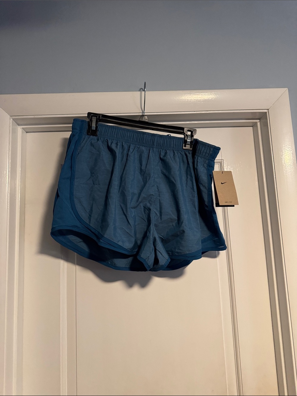 Nike Womans Teal Athletic Shorts
